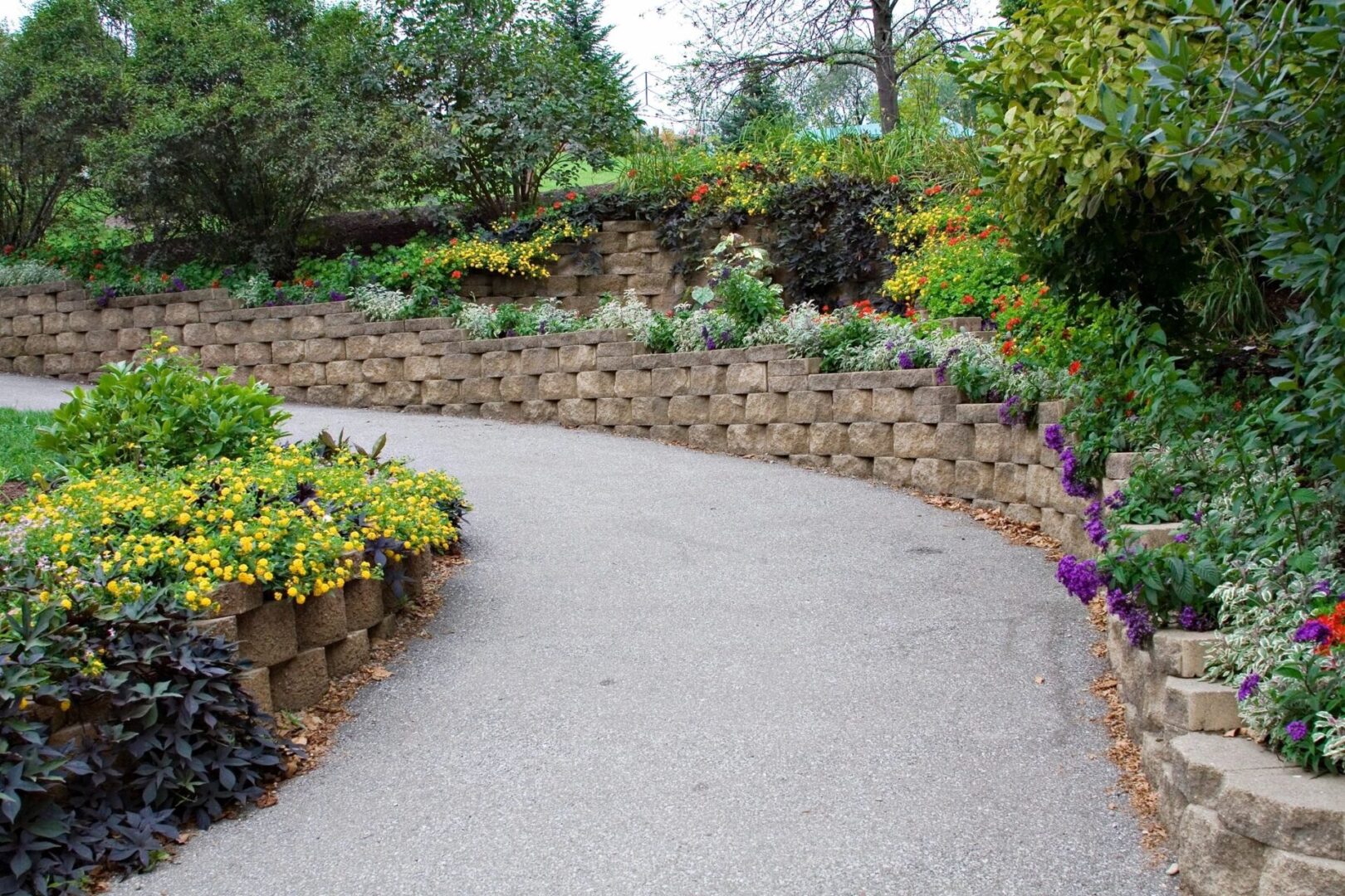 paved area